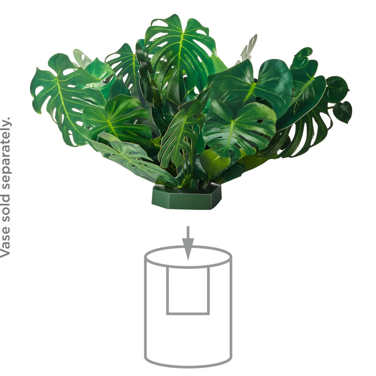 Build-a-Bouquet Monstera Pop-Up Paper Plant