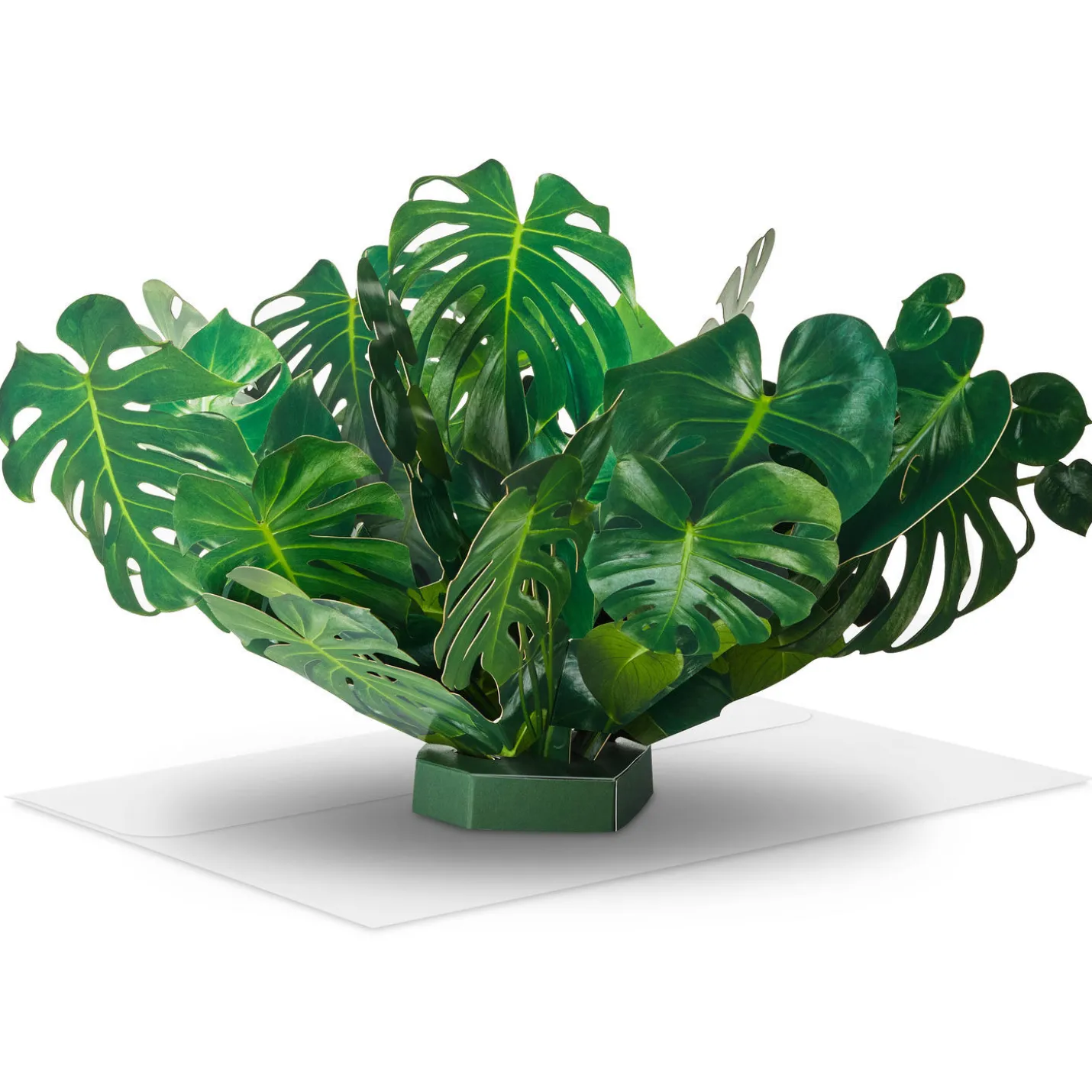 Build-a-Bouquet Monstera Pop-Up Paper Plant