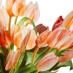 Build-a-Bouquet Peach Tulips Pop-Up Paper Flowers