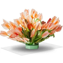 Build-a-Bouquet Peach Tulips Pop-Up Paper Flowers
