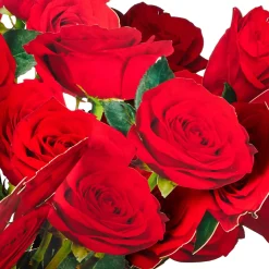 Build-a-Bouquet Red Roses Pop-Up Paper Flowers