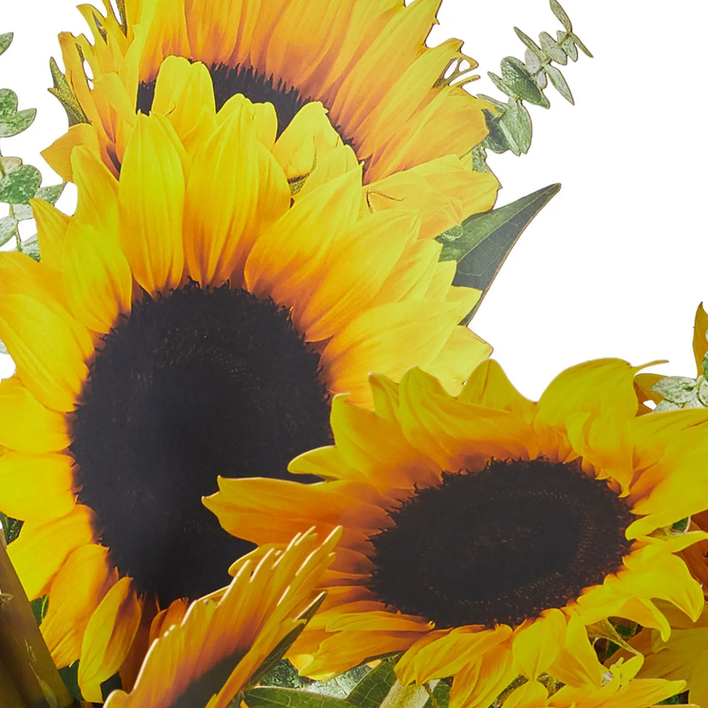 Build-a-Bouquet Sunflowers Pop-Up Paper Flowers