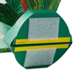 Build-a-Bouquet Tropical Pop-Up Paper Flowers