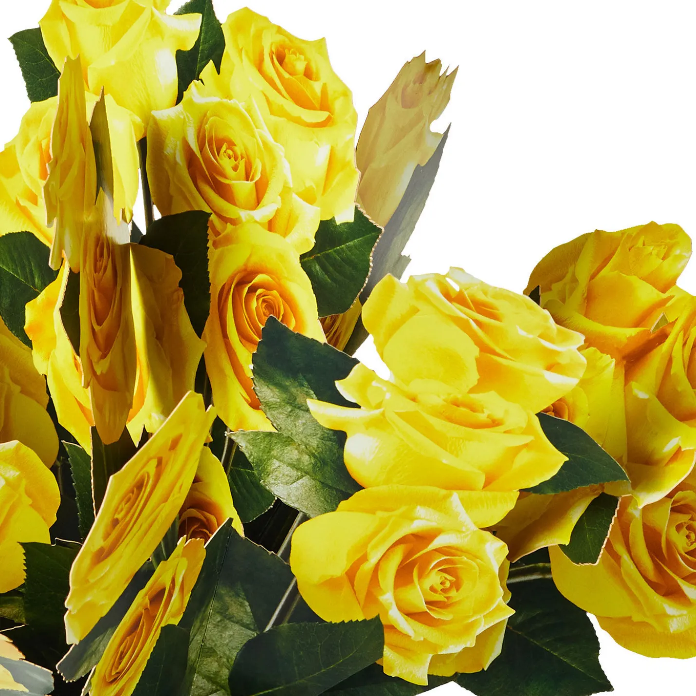 Build-a-Bouquet Yellow Roses Pop-Up Paper Flowers