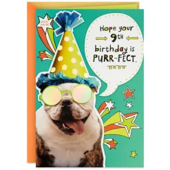 Bulldog in Party Hat Funny 9th Birthday Card With Decal