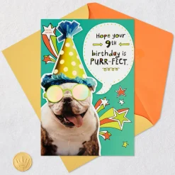 Bulldog in Party Hat Funny 9th Birthday Card With Decal