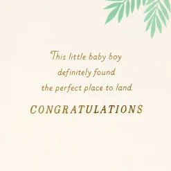 Bundle of Wonder New Baby Boy Card