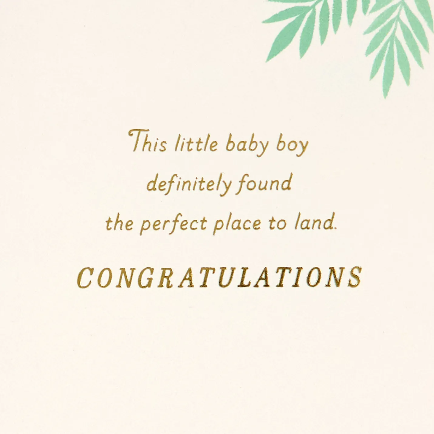 Bundle of Wonder New Baby Boy Card
