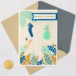 Bundle of Wonder New Baby Boy Card
