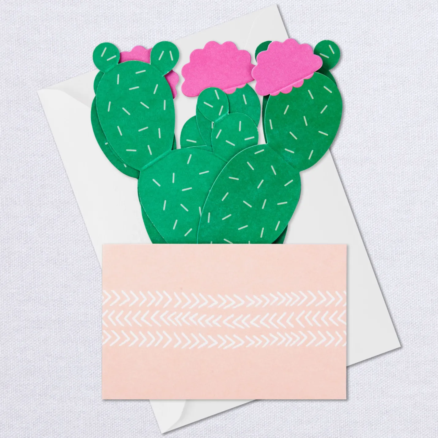 Cactus Looking Sharp 3D Pop-Up Card