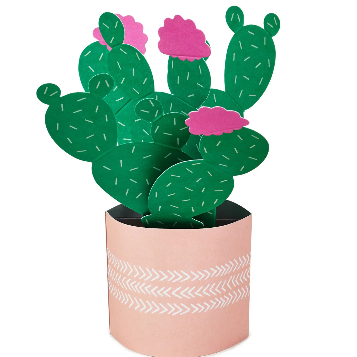 Cactus Looking Sharp 3D Pop-Up Card