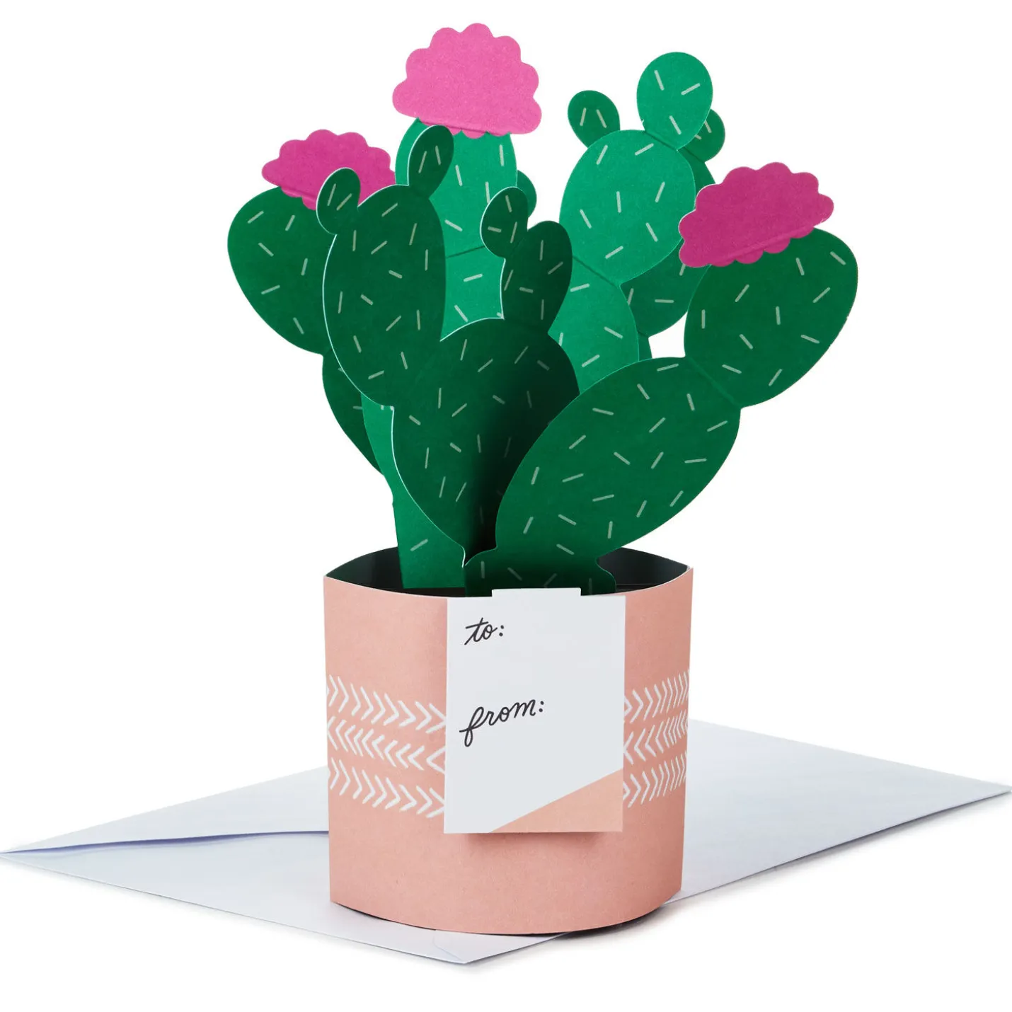 Cactus Looking Sharp 3D Pop-Up Card