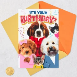 Cats and Dogs Round of Appaws Funny Pop-Up Birthday Card