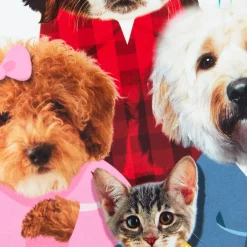 Cats and Dogs Round of Appaws Funny Pop-Up Birthday Card