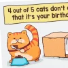 Cats Don't Care Funny Birthday Card