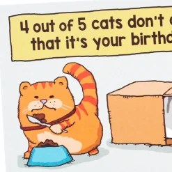 Cats Don't Care Funny Birthday Card