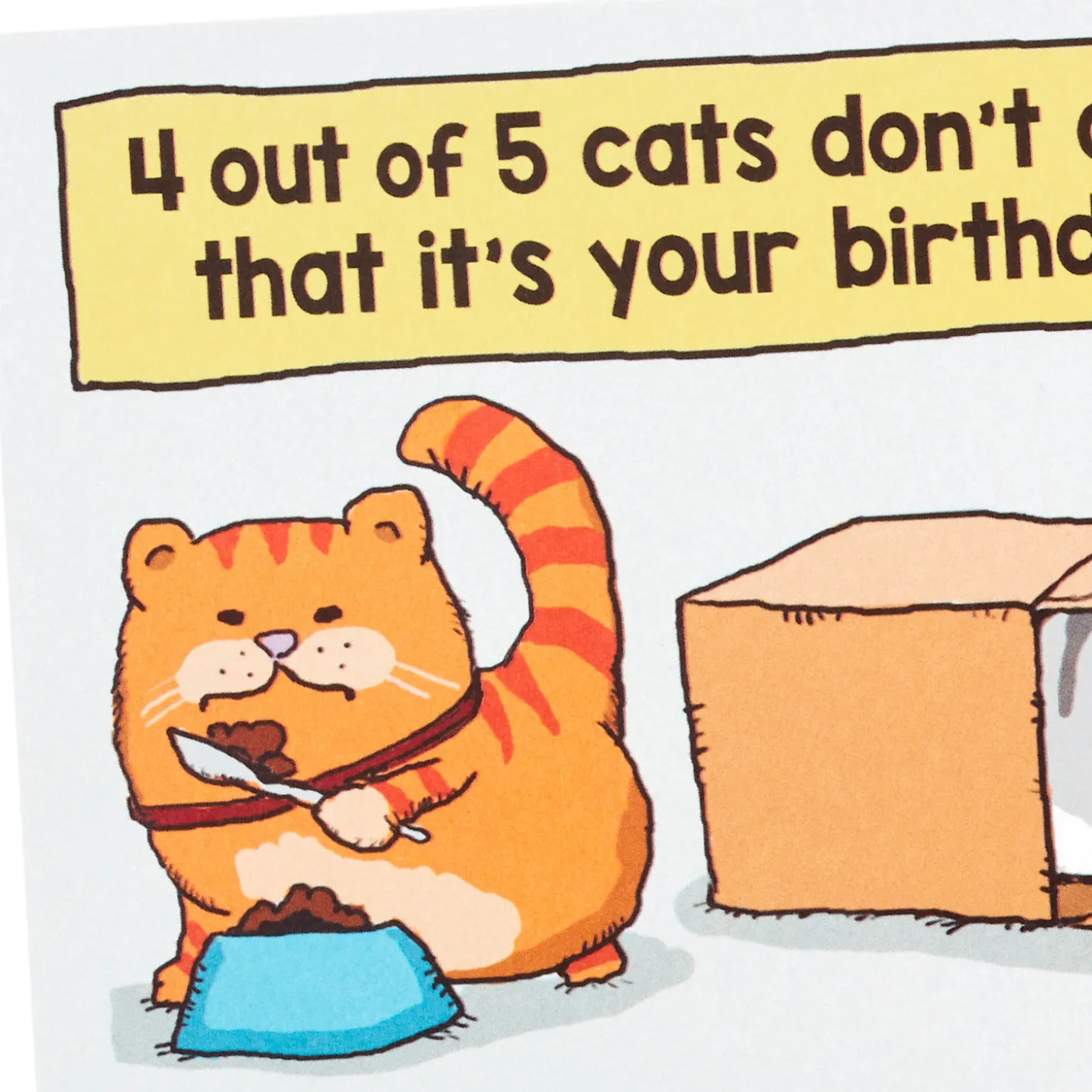 Cats Don't Care Funny Birthday Card