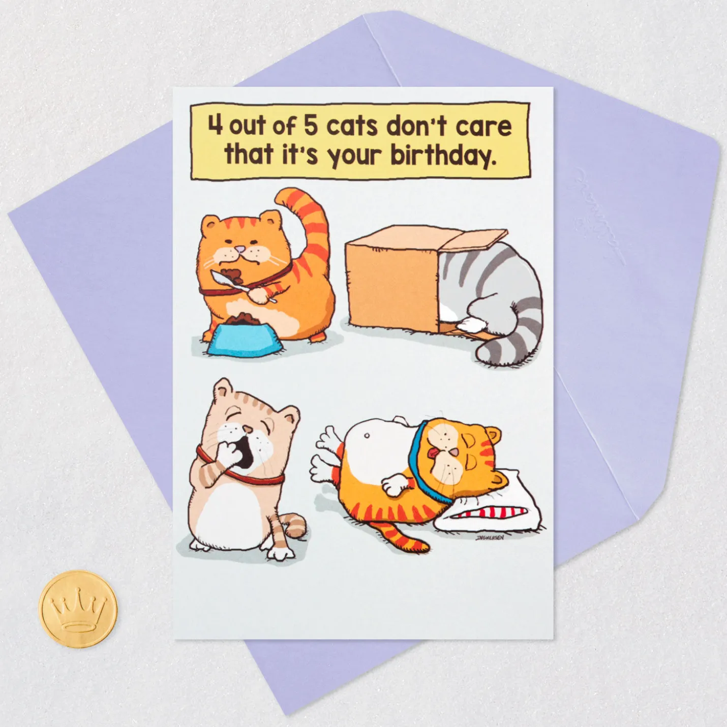 Cats Don't Care Funny Birthday Card