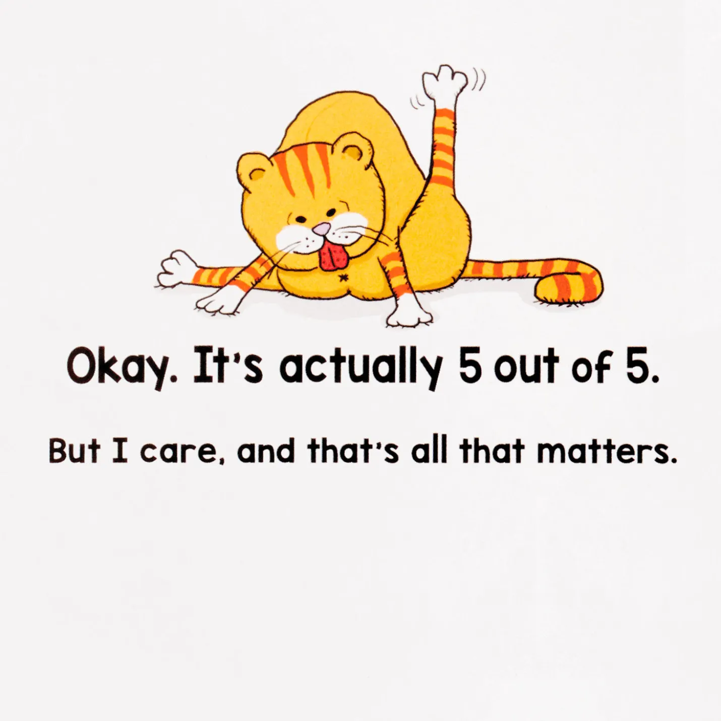 Cats Don't Care Funny Birthday Card
