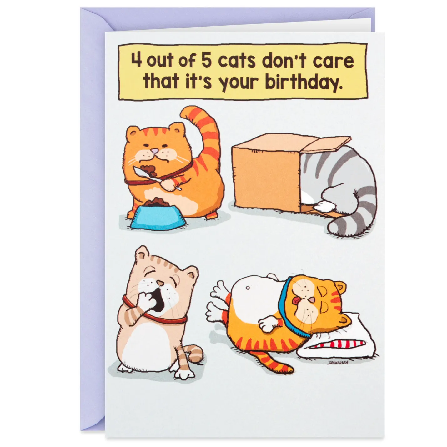 Cats Don't Care Funny Birthday Card