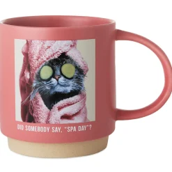 Cat Spa Day Funny Mug, 16 oz.