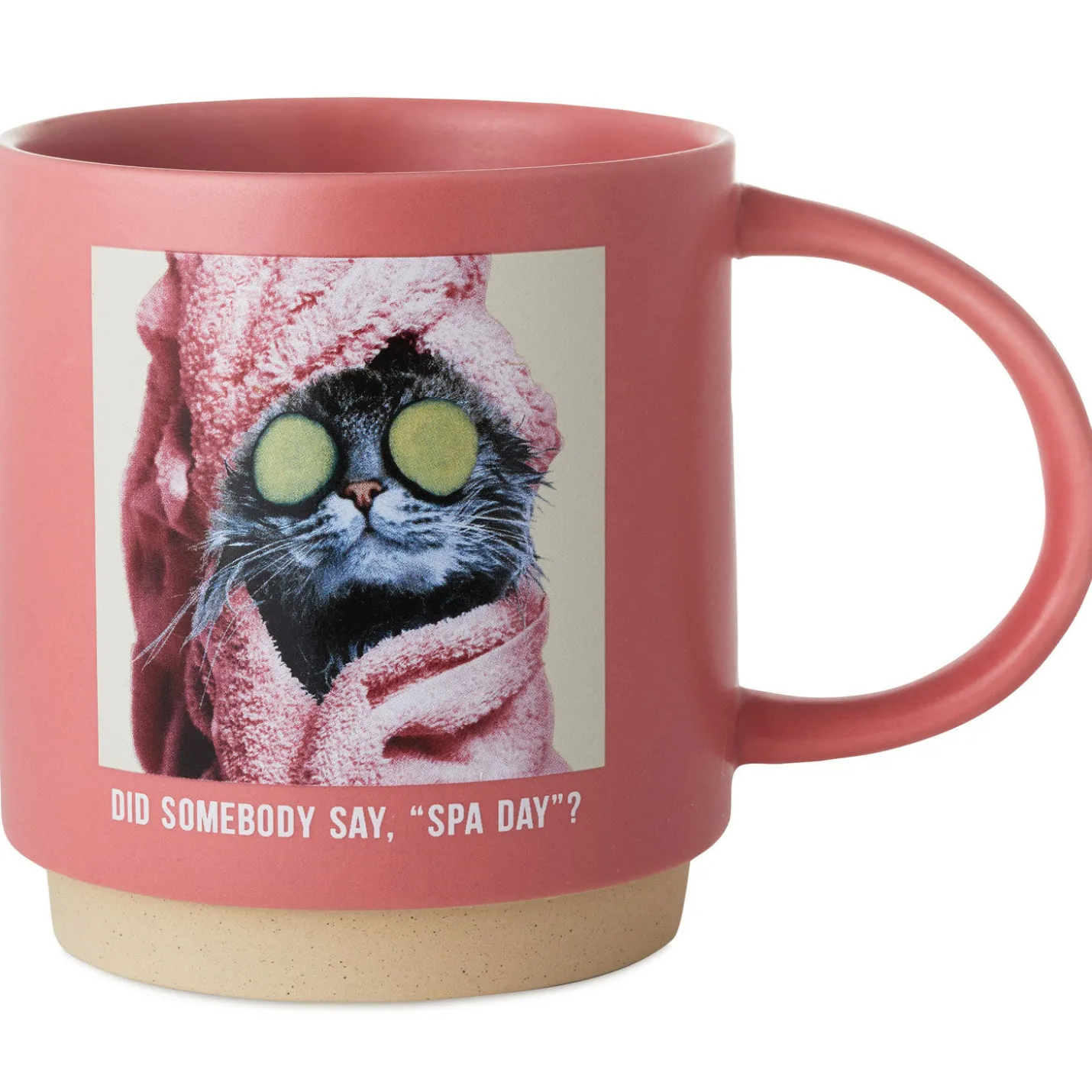 Cat Spa Day Funny Mug, 16 oz.