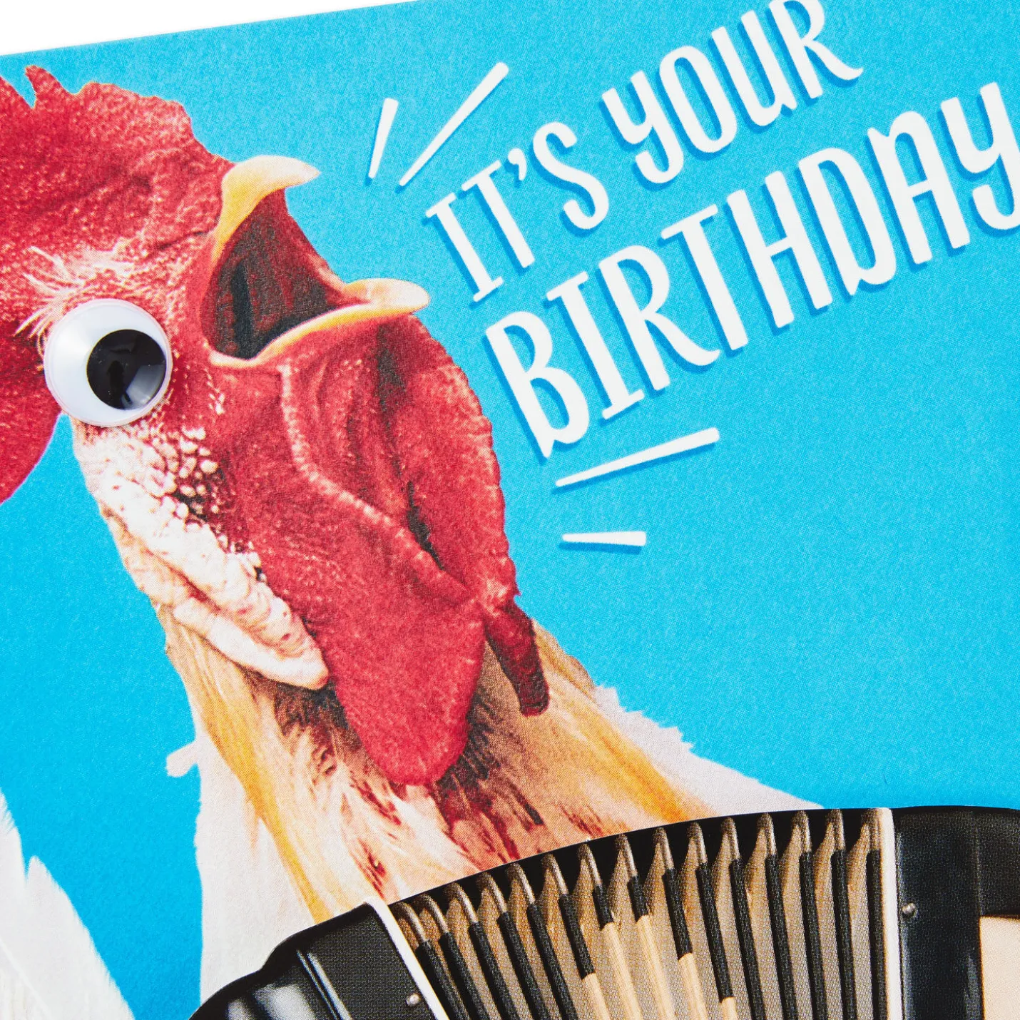 Celebrate Accordion-ly Chicken Dance Funny Musical Birthday Card With Motion