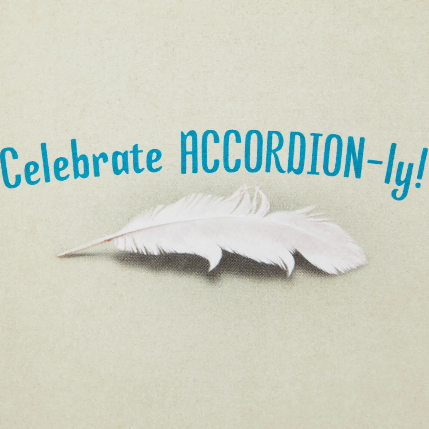 Celebrate Accordion-ly Chicken Dance Funny Musical Birthday Card With Motion