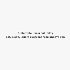 Celebrate Like a Cat Funny Birthday Card