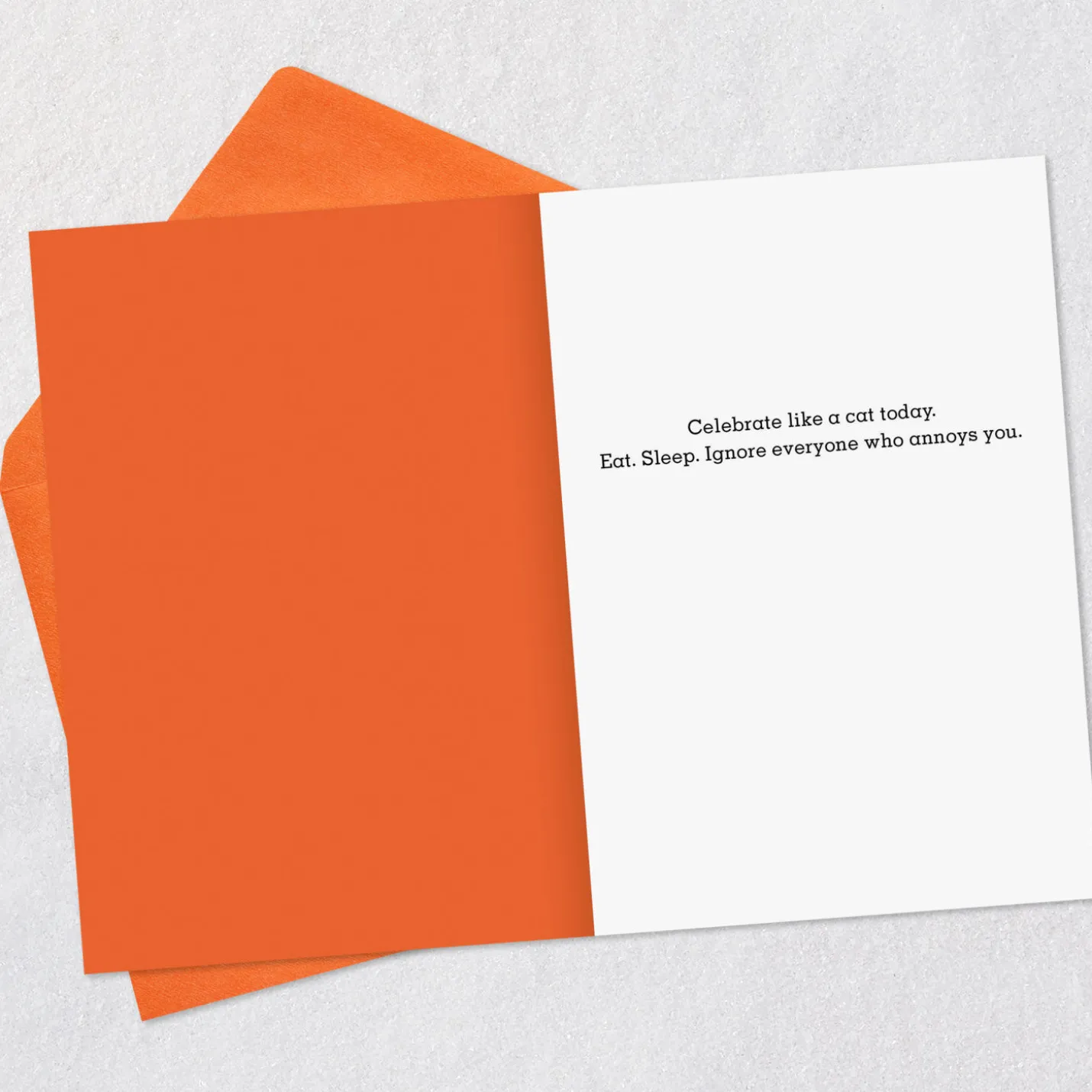 Celebrate Like a Cat Funny Birthday Card