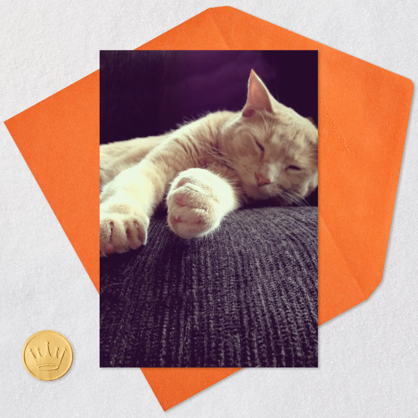 Celebrate Like a Cat Funny Birthday Card