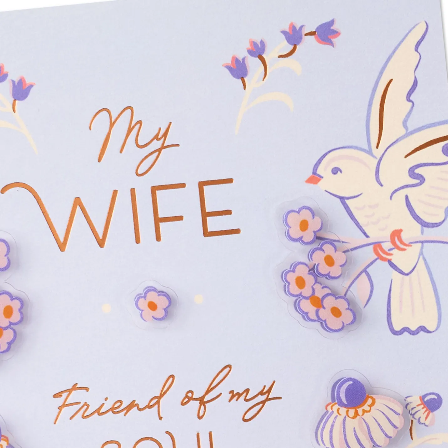Celebrating You and a Lifetime of Love Romantic Birthday Card for Wife
