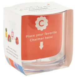 Charmers Plastic Drinking Glass, 15.5 oz.