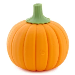 Charmers Pumpkin Silicone Charm