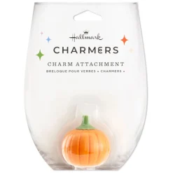 Charmers Pumpkin Silicone Charm