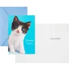 Cheery and Bright Assorted Multi-Occasion Cards, Pack of 8