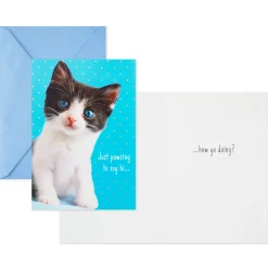 Cheery and Bright Assorted Multi-Occasion Cards, Pack of 8