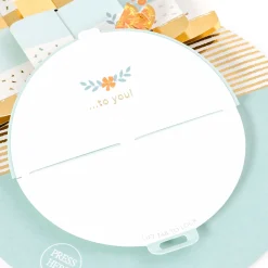 Citrus Cake Musical 3D Pop-Up Birthday Card With Motion