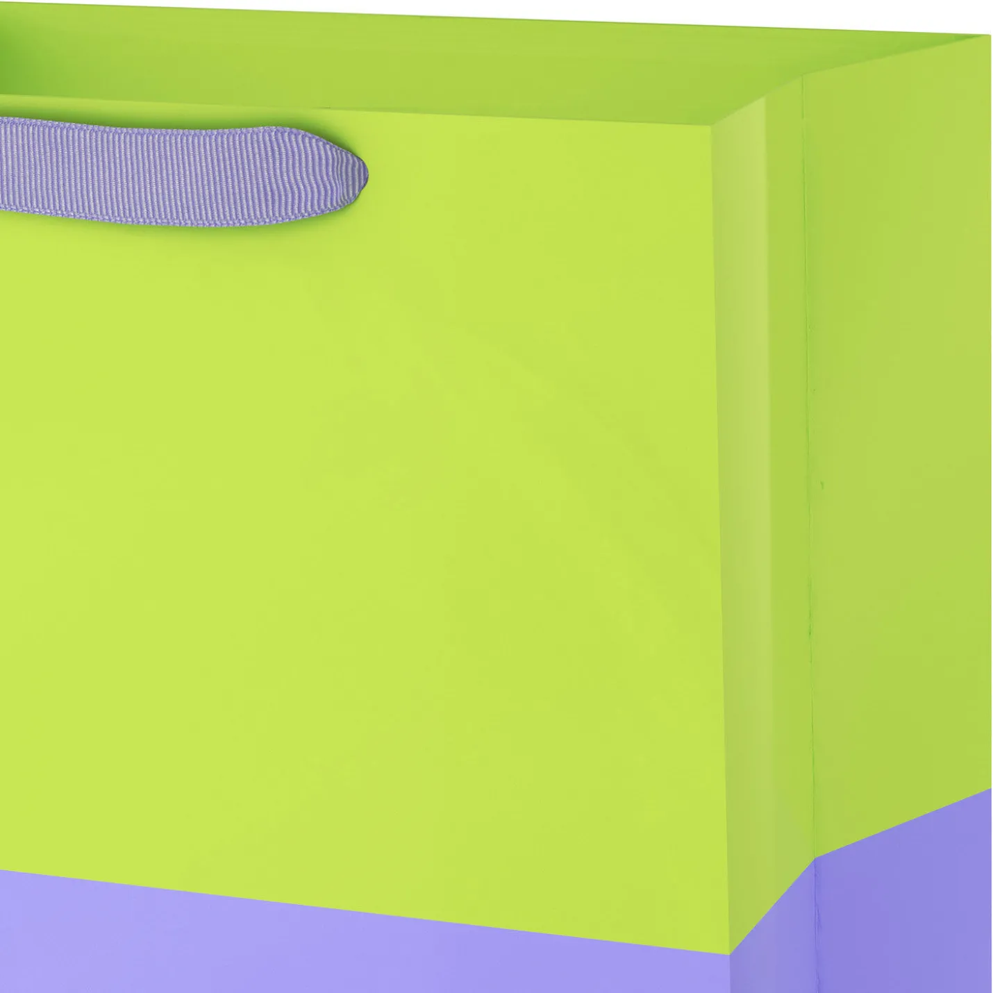 13" Citrus Green and Lavender Color Block Large Gift Bag