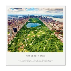 City Center Oasis NYC Central Park 1000-Piece Jigsaw Puzzle