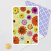 Colorful Daisies Blank Card