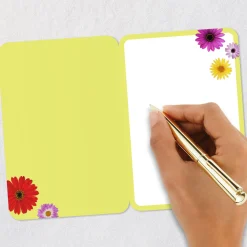 Colorful Daisies Blank Card