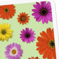 Colorful Daisies Blank Card