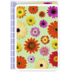 Colorful Daisies Blank Card