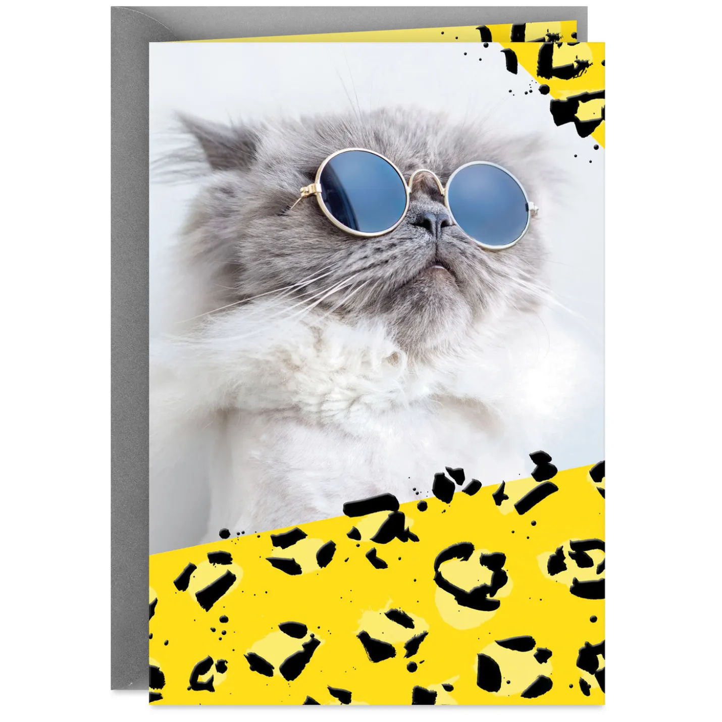 Cool Cat Wearing Sunglasses Blank Card