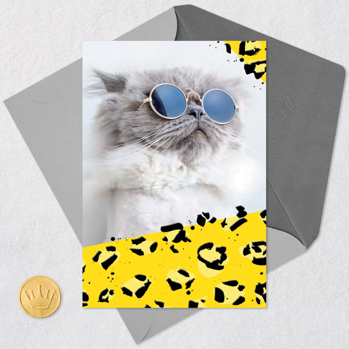 Cool Cat Wearing Sunglasses Blank Card