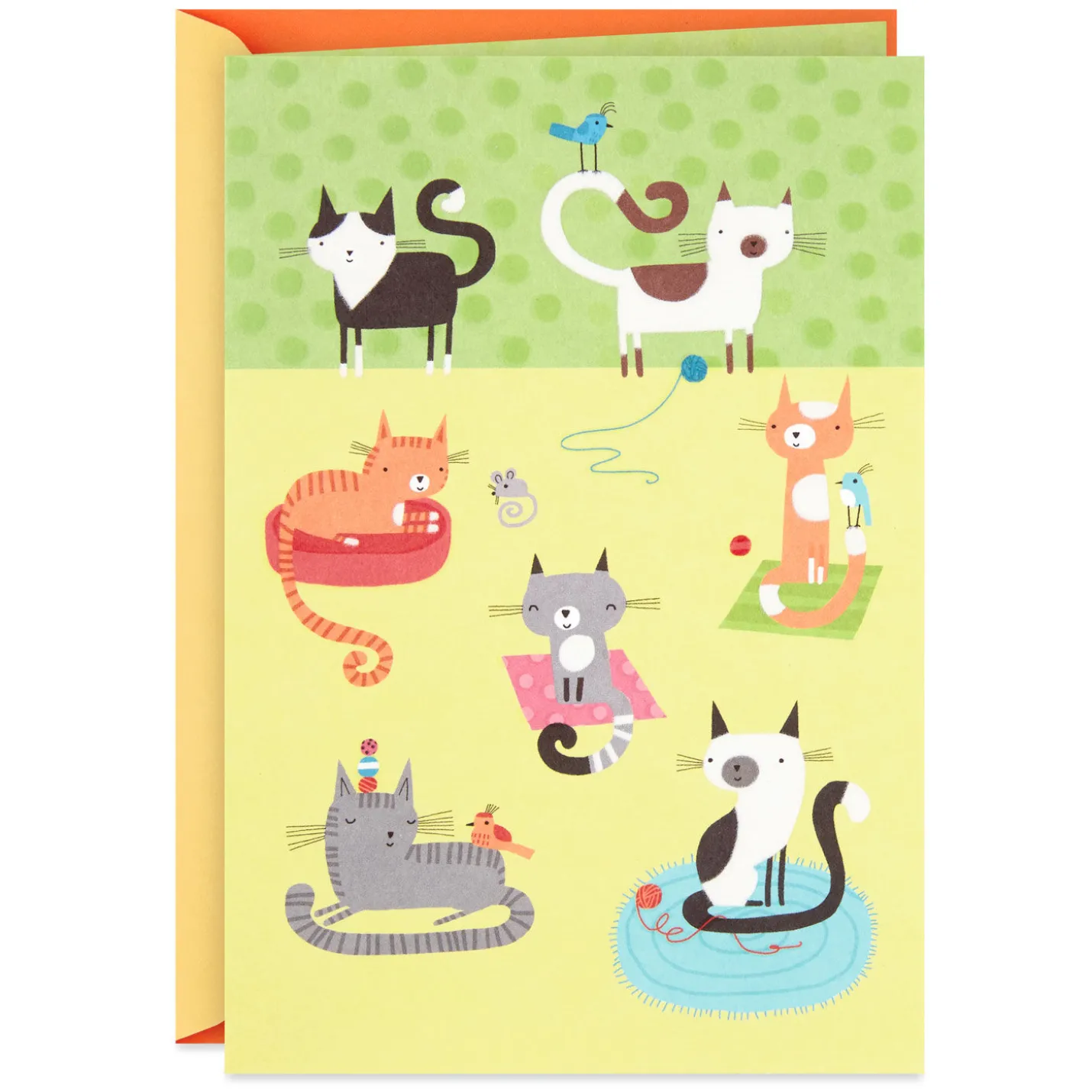 Cute Cats Blank Card