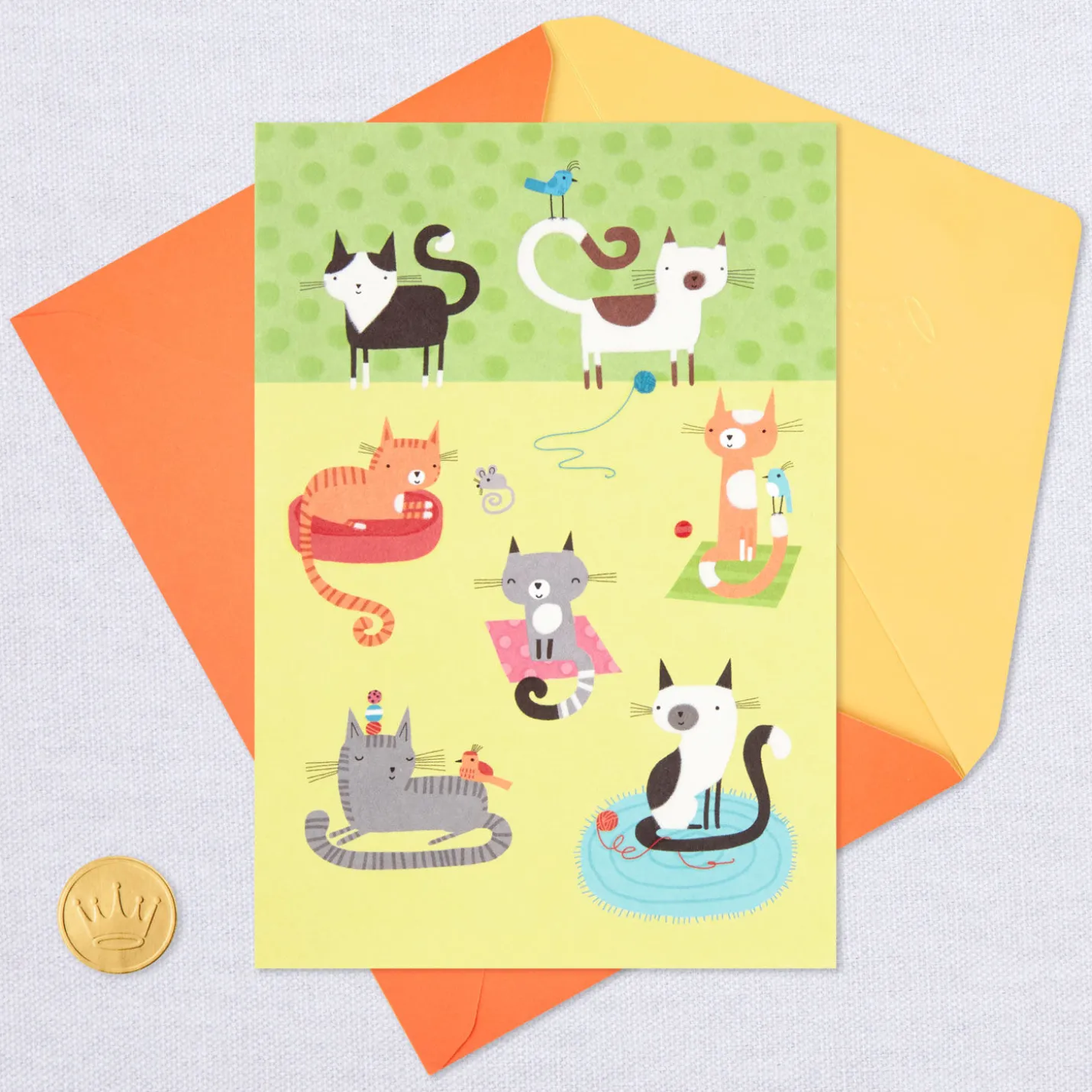 Cute Cats Blank Card