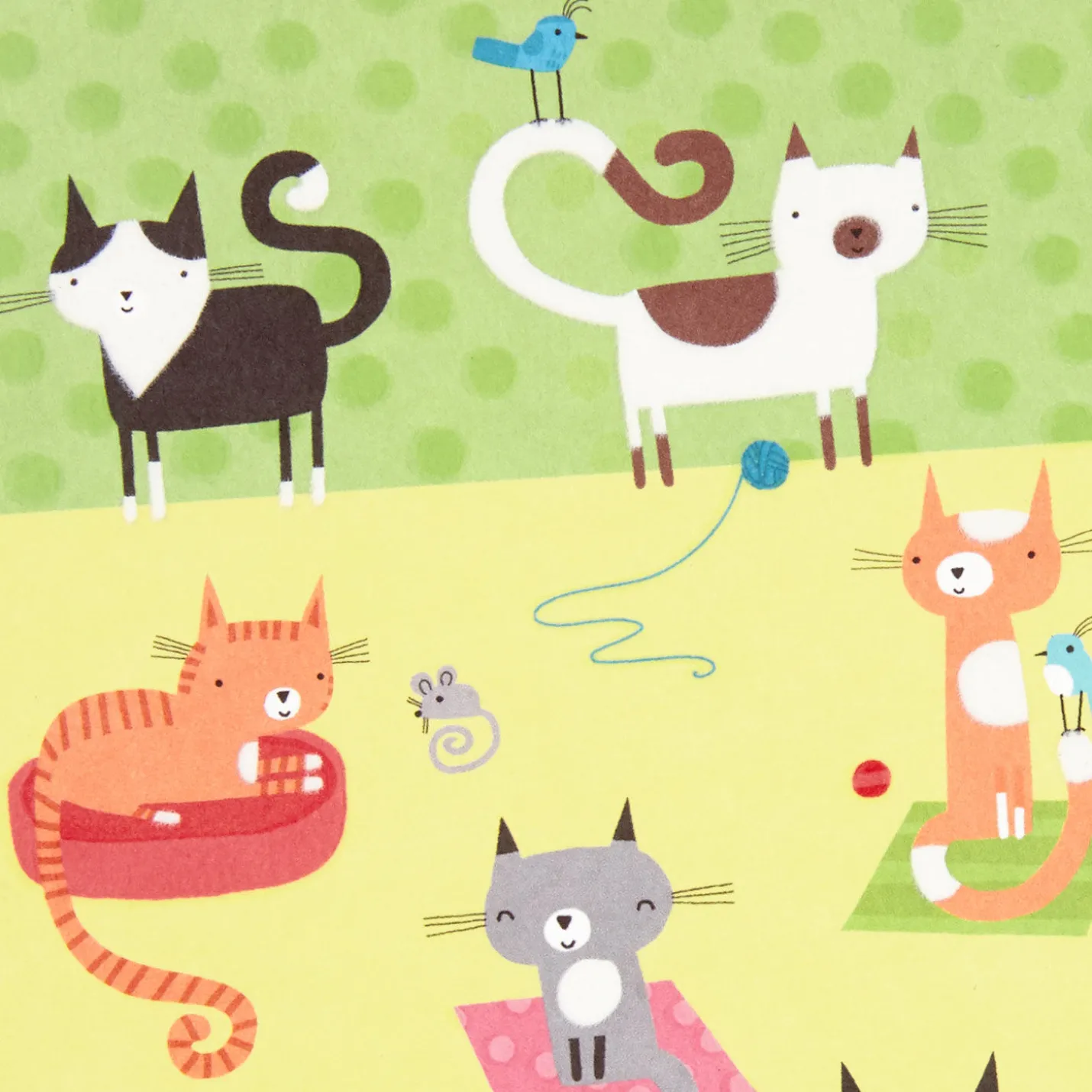 Cute Cats Blank Card