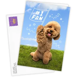 Cute Dog Cheering You On Custom Encouragement Card